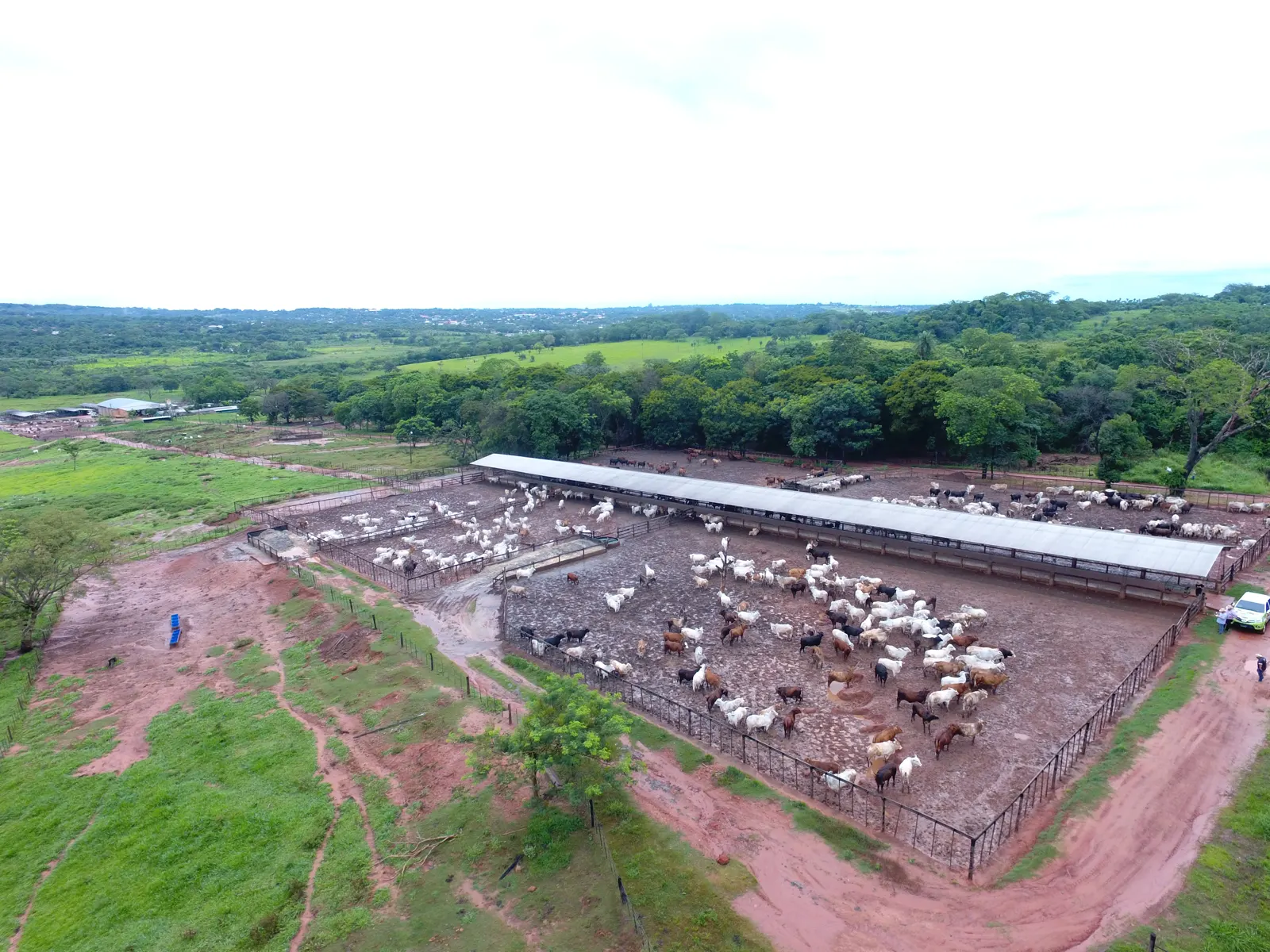 Vista aérea de un corral con hacienda